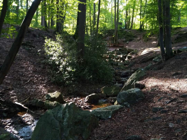 Barbecue des bénévoles 2023-09 - photo 24