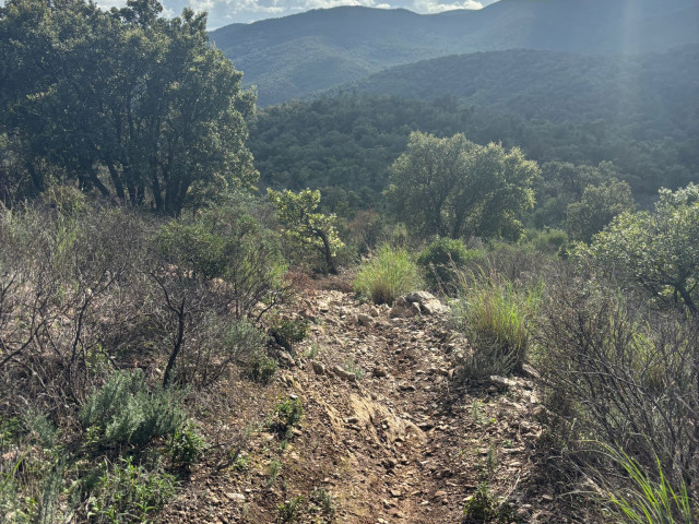 Roc d'Azur 2024-10 - photo 43