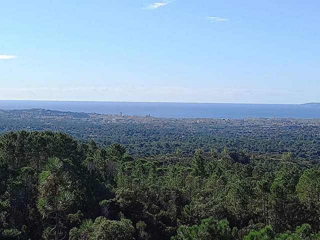 Roc d'Azur 2024-10 - photo 89