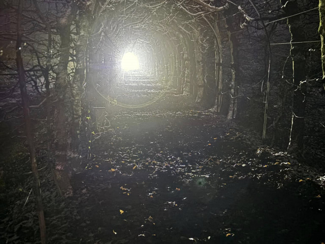 Nocturne et souper Saint Nicolas 2024-12 - photo 25